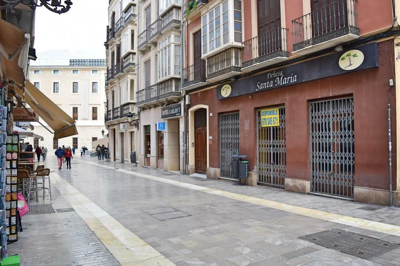Apartamento Cister Old Town contacts